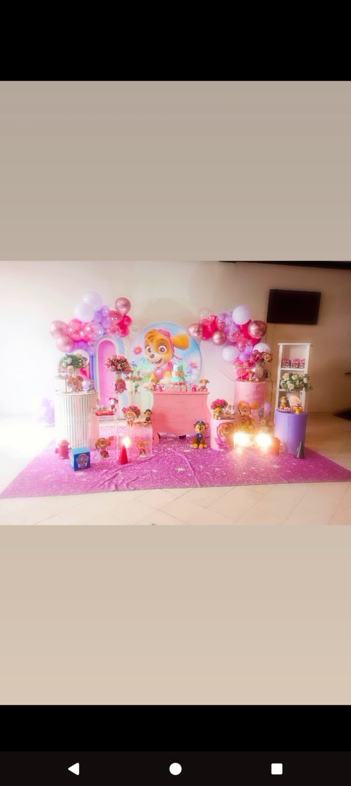 Decoração Patrulha Canina · Patrulha Canina (Skye) · Buffet Family