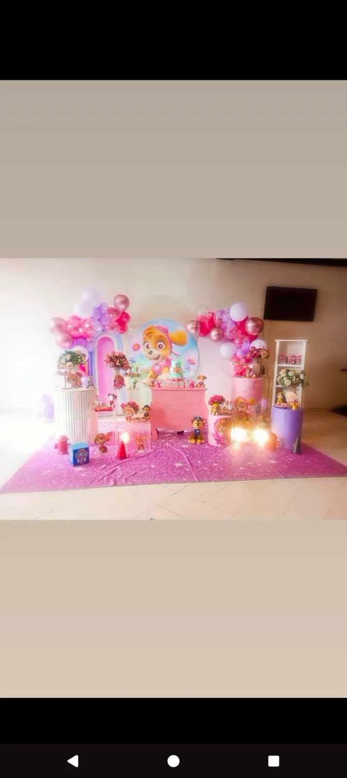 Decoração Patrulha Canina · Patrulha Canina (Skye) · Buffet Family